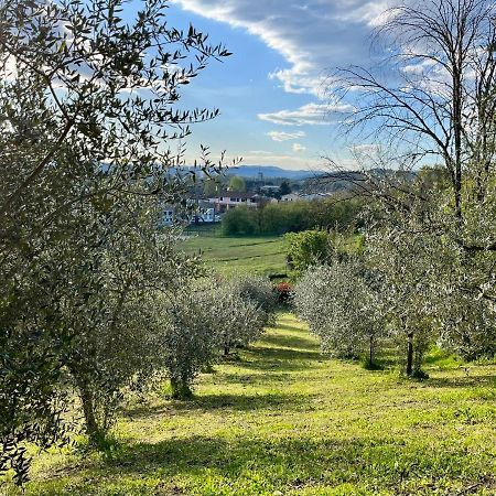 Il Nido Di Margherita San Giovanni Valdarno Exteriör bild