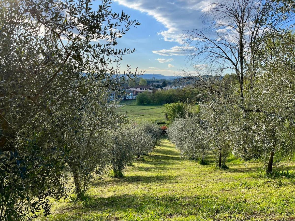 Il Nido Di Margherita San Giovanni Valdarno Exteriör bild